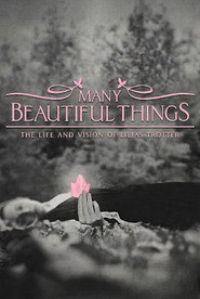 Many Beautiful Things (2015)