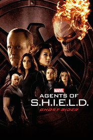 Marvel's Agents of S.H.I.E.L.D. Season 4 19
