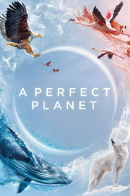 A Perfect Planet poster