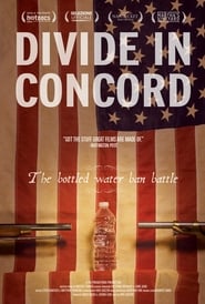 Poster Divide In Concord 2014