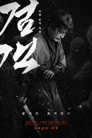 Poster The Swordsman