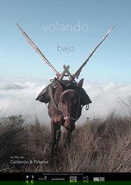 Volando Bajo