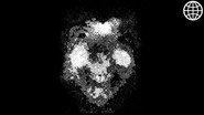 Anomalies du Web (Vol. 3) - Findings N°112