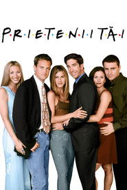 Prietenii tăi (1994)