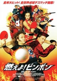 燃えよ!ピンポン (2007)