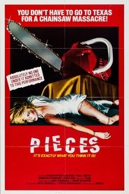 Pieces постер