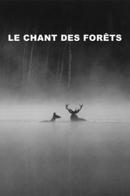 Le chant des forêts (2025)