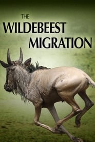 The Wildebeest Migration: Nature's Greatest Journey streaming