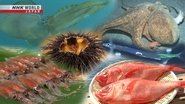 You Eat That?! - Cool Seafood