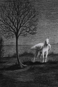 The Masque of Blackness