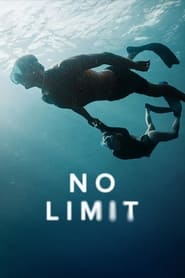 No Limit (2022) Hindi [A]