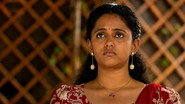 Veedina Musugu
