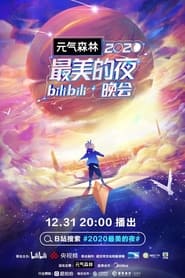 2020最美的夜 bilibili晚会