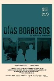 Poster Días borrosos