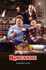 Roseanne Season 5 7