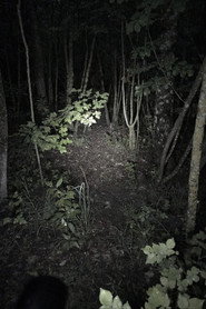 Untitled Found Footage Project