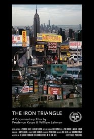 Poster The Iron Triangle: Willets Point and the Remaking of New York 2017