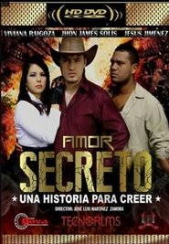 Poster Amor secreto 2013