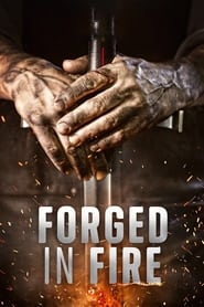 Forged in Fire постер