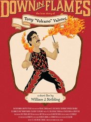 Poster Down in Flames: The True Story of Tony Volcano Valenci 2014