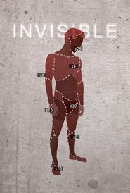 Poster Invisible 2013