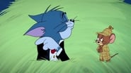 Tom & Jerry : La collection classique complète volume 8 en streaming