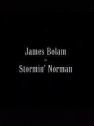 Stormin' Norman 2000