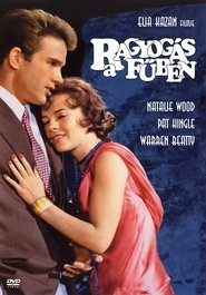 Ragyogás a fűben (1961)