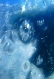 Poster A fleur d’eau… 2009