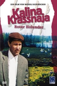 Poster Kalina Krassnaja – Roter Holunder