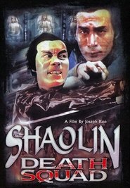 少林小子