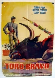 Poster Toro bravo 1960