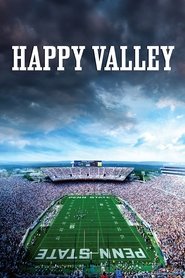 Poster Happy Valley 2014