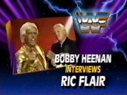 October 12, 1991 - Superstars of Wrestling 267