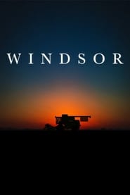 Poster Windsor
