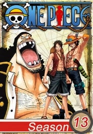 One Piece 13×35