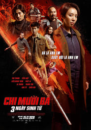 Chi Muoi Ba 2: 3 Ngay Sinh Tu poster