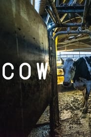 Poster van Cow