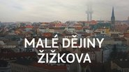 Malé dějiny Žižkova 2022 Δωρεάν απεριόριστη πρόσβαση