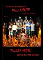 Poster for Pali Andjeo
