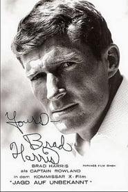 Brad Harris headshot