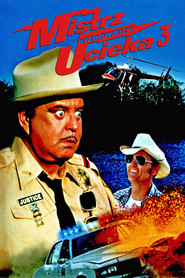 Plakat — Mistrz kierownicy ucieka 3