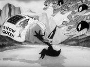 Daffy's Southern Exposure