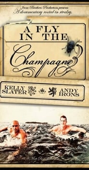 A Fly in the Champagne постер