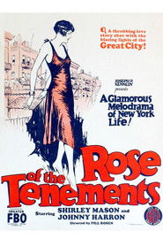 Rose of the Tenements
