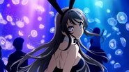Rascal Does Not Dream of Bunny Girl Senpai en streaming