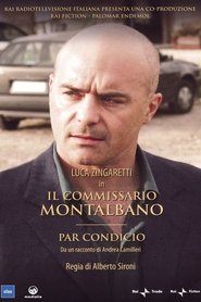 il genio dello streaming montalbano il genio dello streaming montalbano