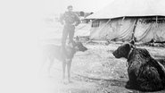 Piwko dla niedźwiedzia! 1970 Безплатен неограничен достъп