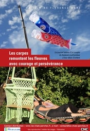 Les carpes remontent les fleuves avec courage et persévérance streaming