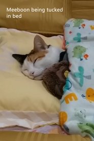 Poster Meeboon being tucked in bed 2018